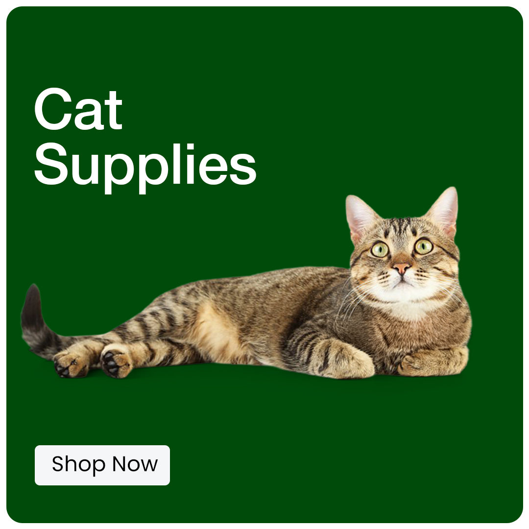 Cat Supplies