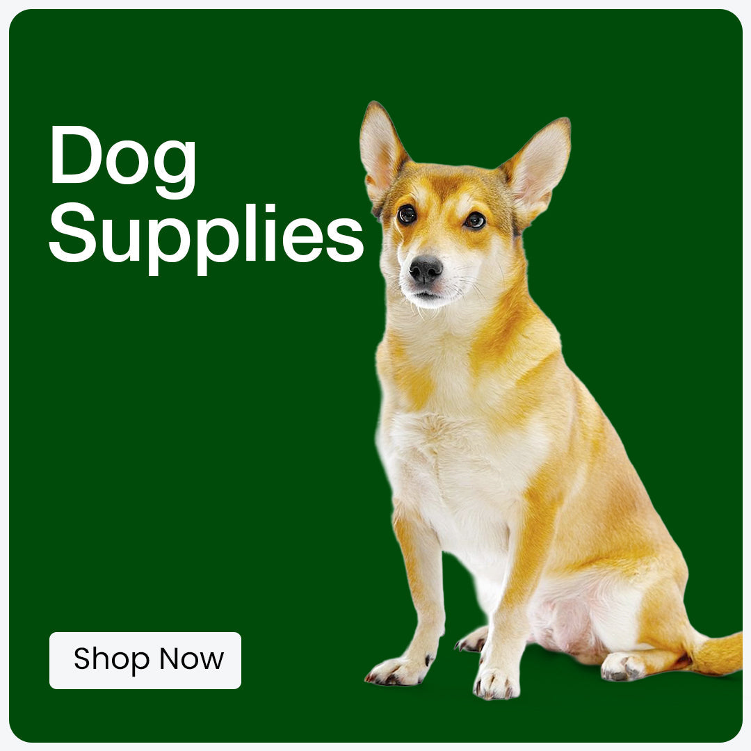 Dog Supplies