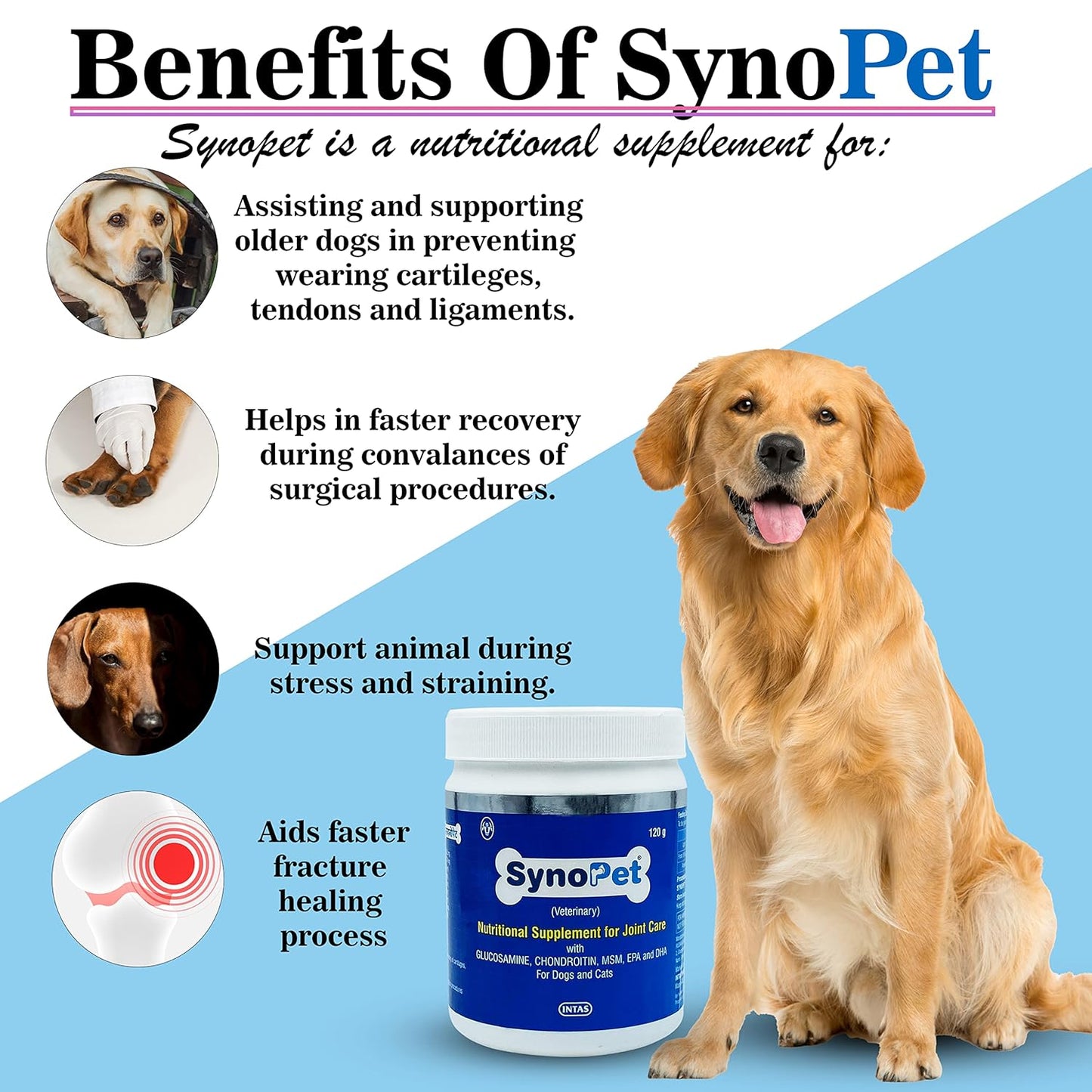 ALP Synopet Nutitonal Supplement for Joint Care 120GM