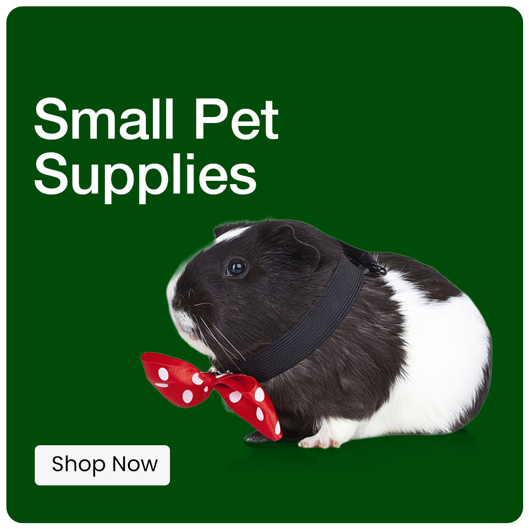 Small Pet Supplies