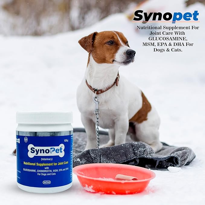 ALP Synopet Nutitonal Supplement for Joint Care 120GM