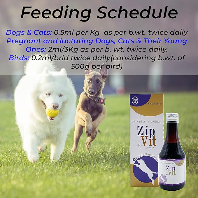 ZipVit Multivitamin Syrup for Dogs & Cats - Skin & Coat Tonic, Immunity Booster & Appetite Stimulant (200ml)