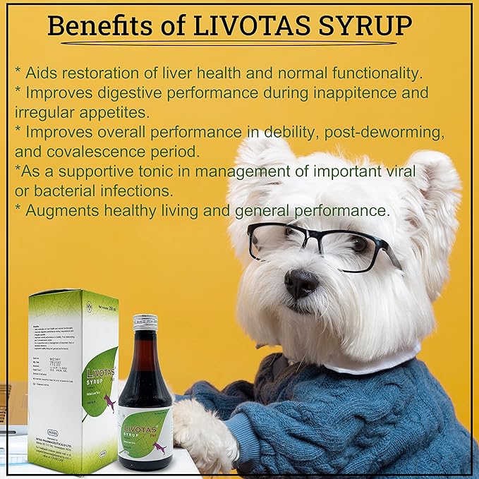 ALP Livotas Pet Syrup - Herbal Liver Tonic for Dogs & Cats | 200ml | Chicken Flavor